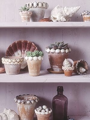 shell planters.jpg